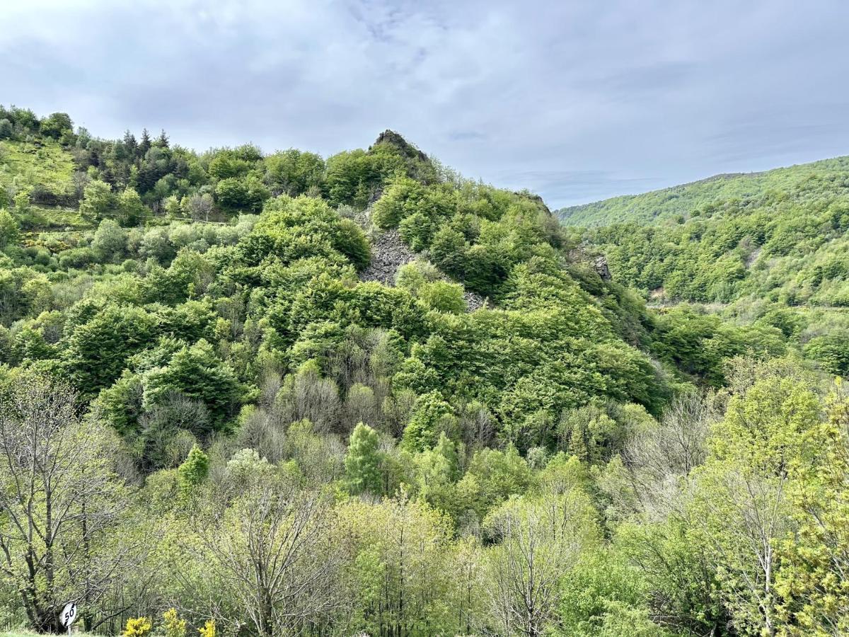 Gite De Noe Au Ray-Pic Pereyres Bagian luar foto